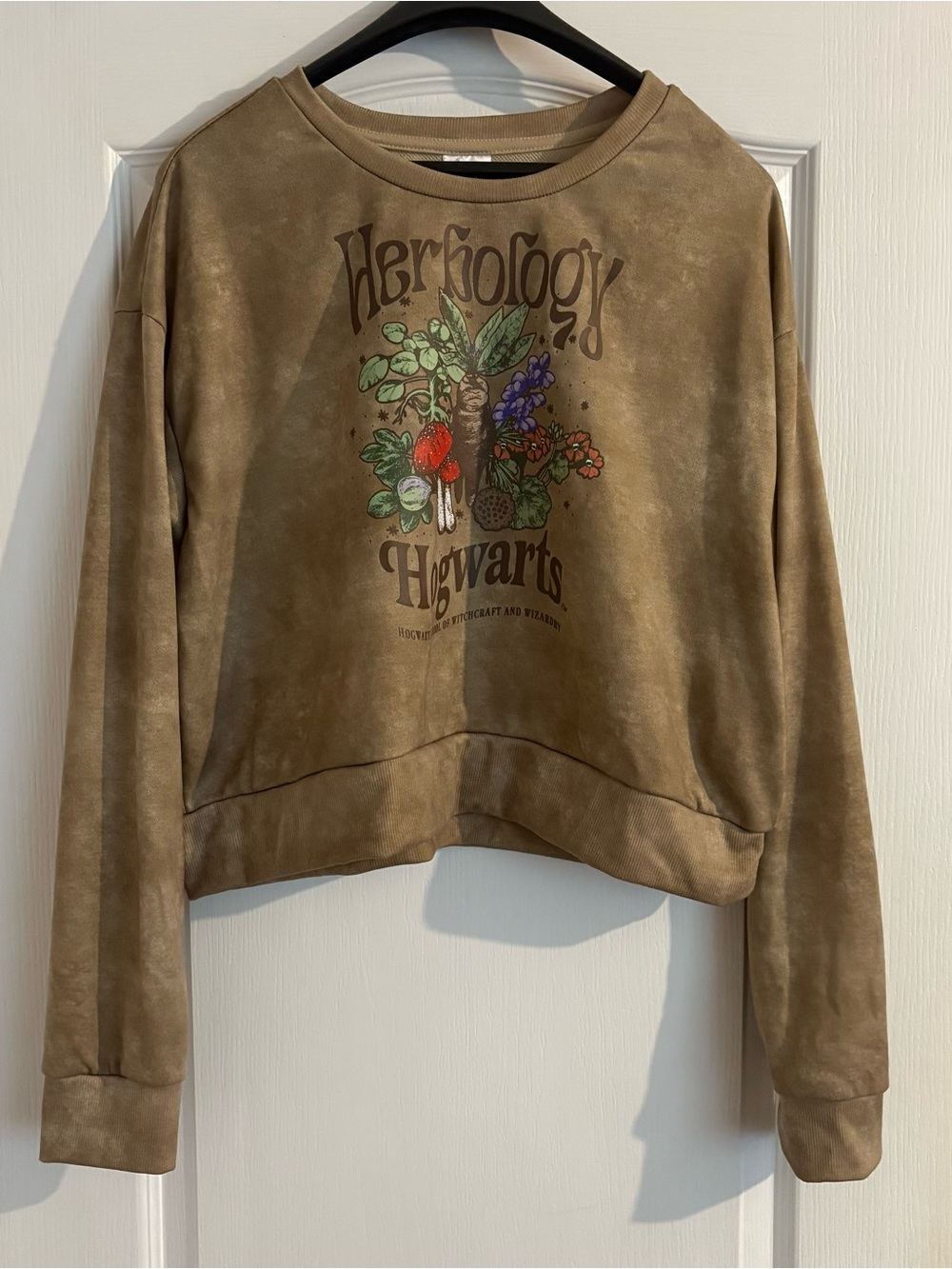 Warner Bros. Harry Potter Beige Graphic Cropped Crewneck Sweater